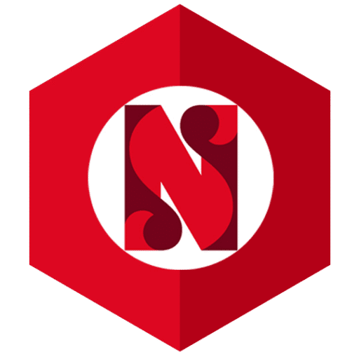 logo ns